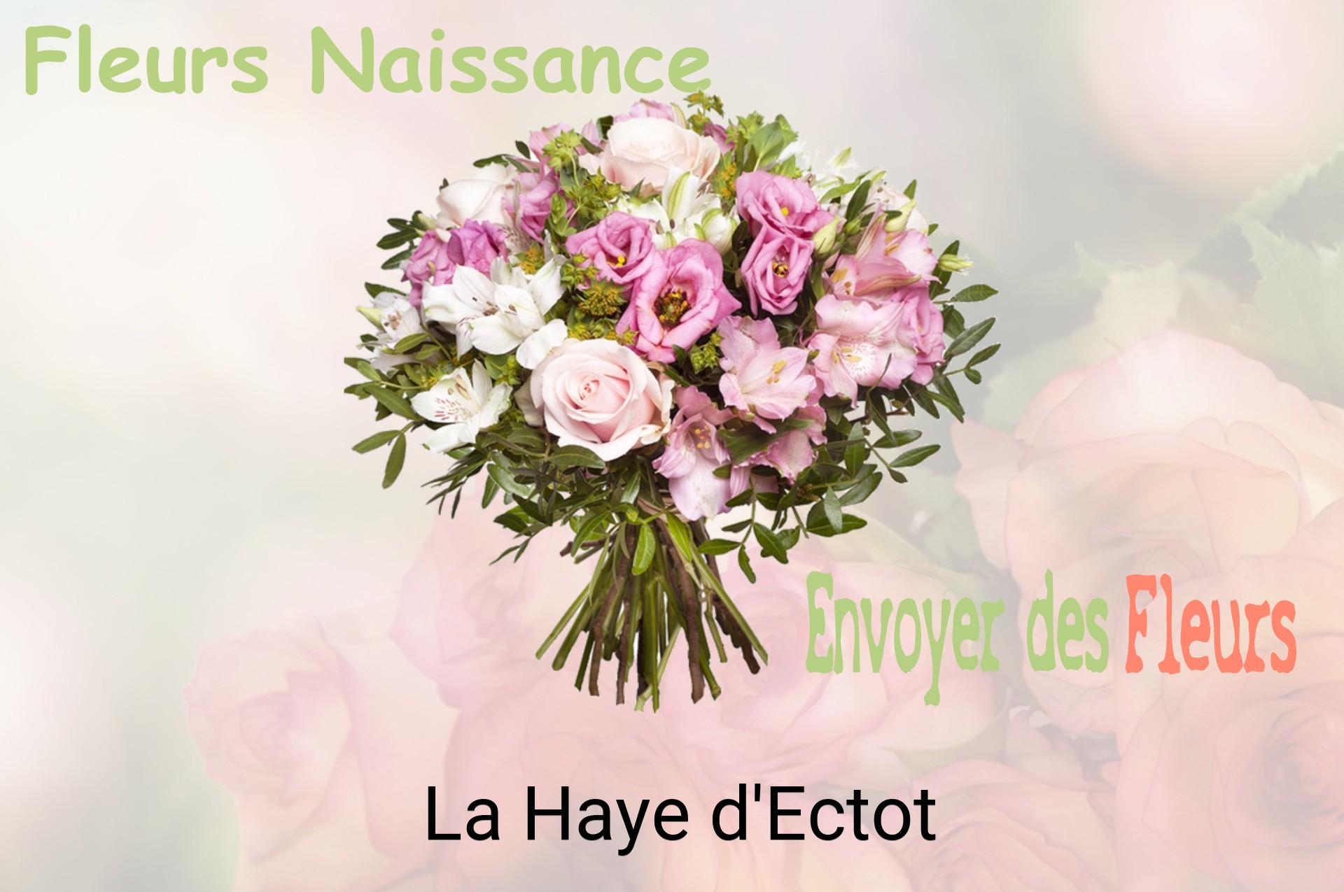 Bouquet de fleurs de naissance livré à La Haye-d'Ectot